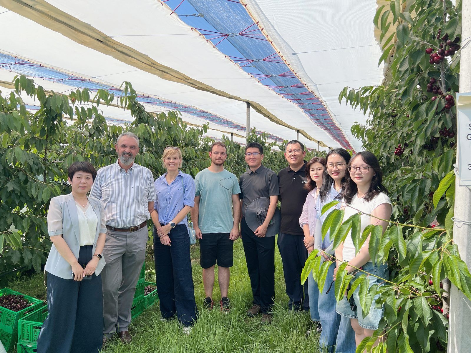 Salvi Vivai试验区合影
