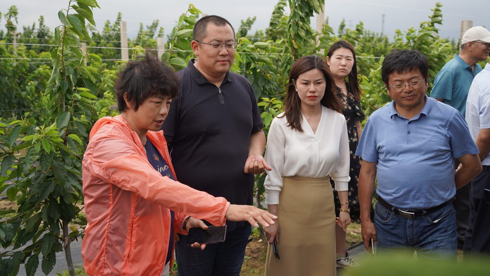 专家潘凤荣和蔡宇良