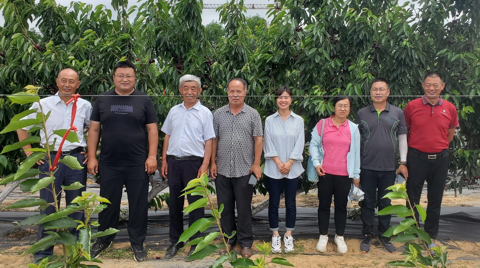 烟台市大樱桃协会考察团