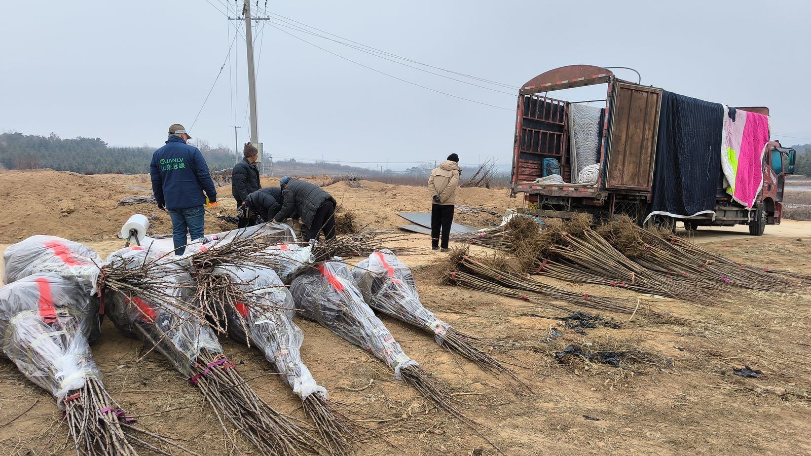冠绿基地 · 种苗繁育 38