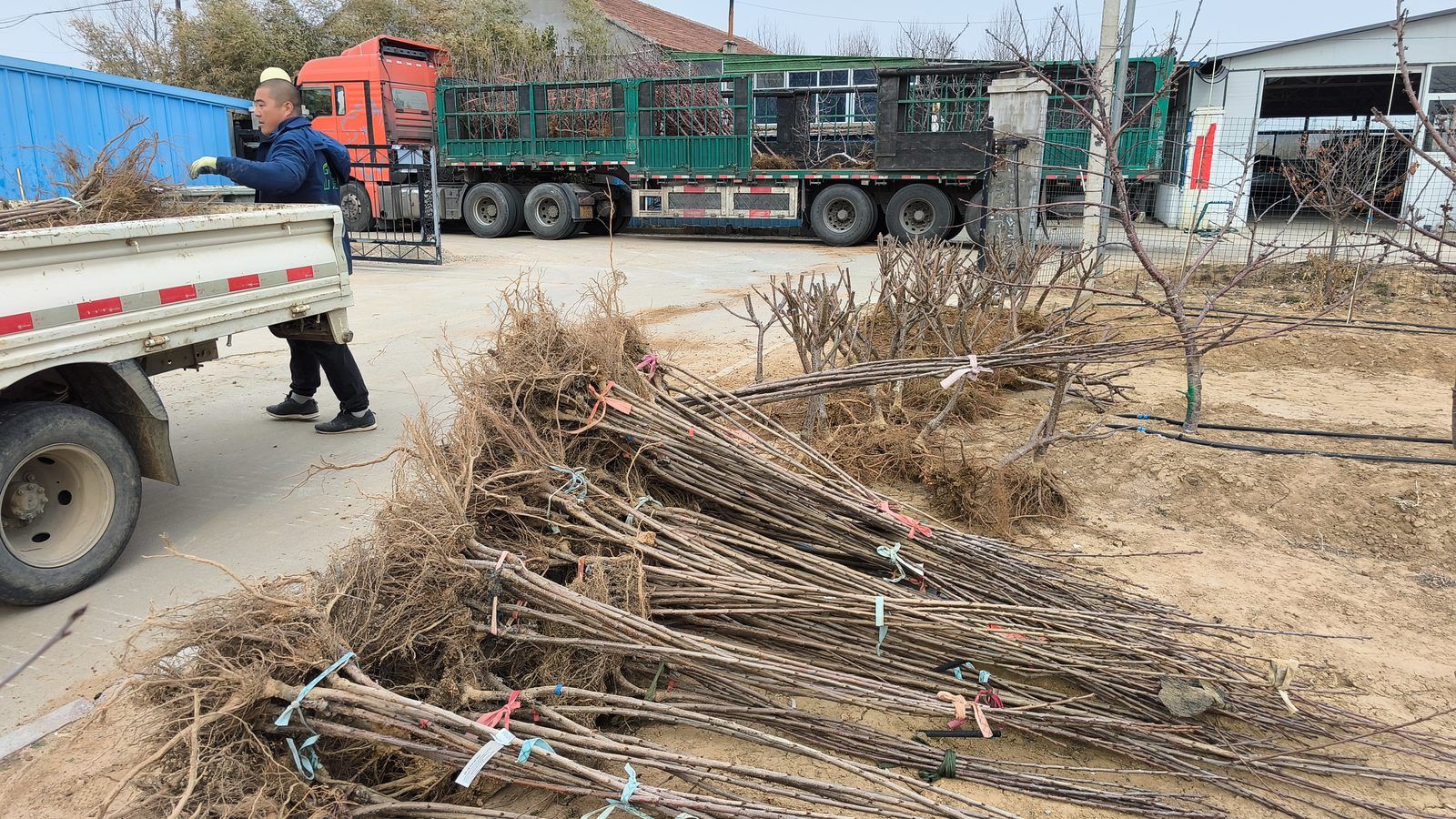 冠绿基地 · 种苗繁育 39